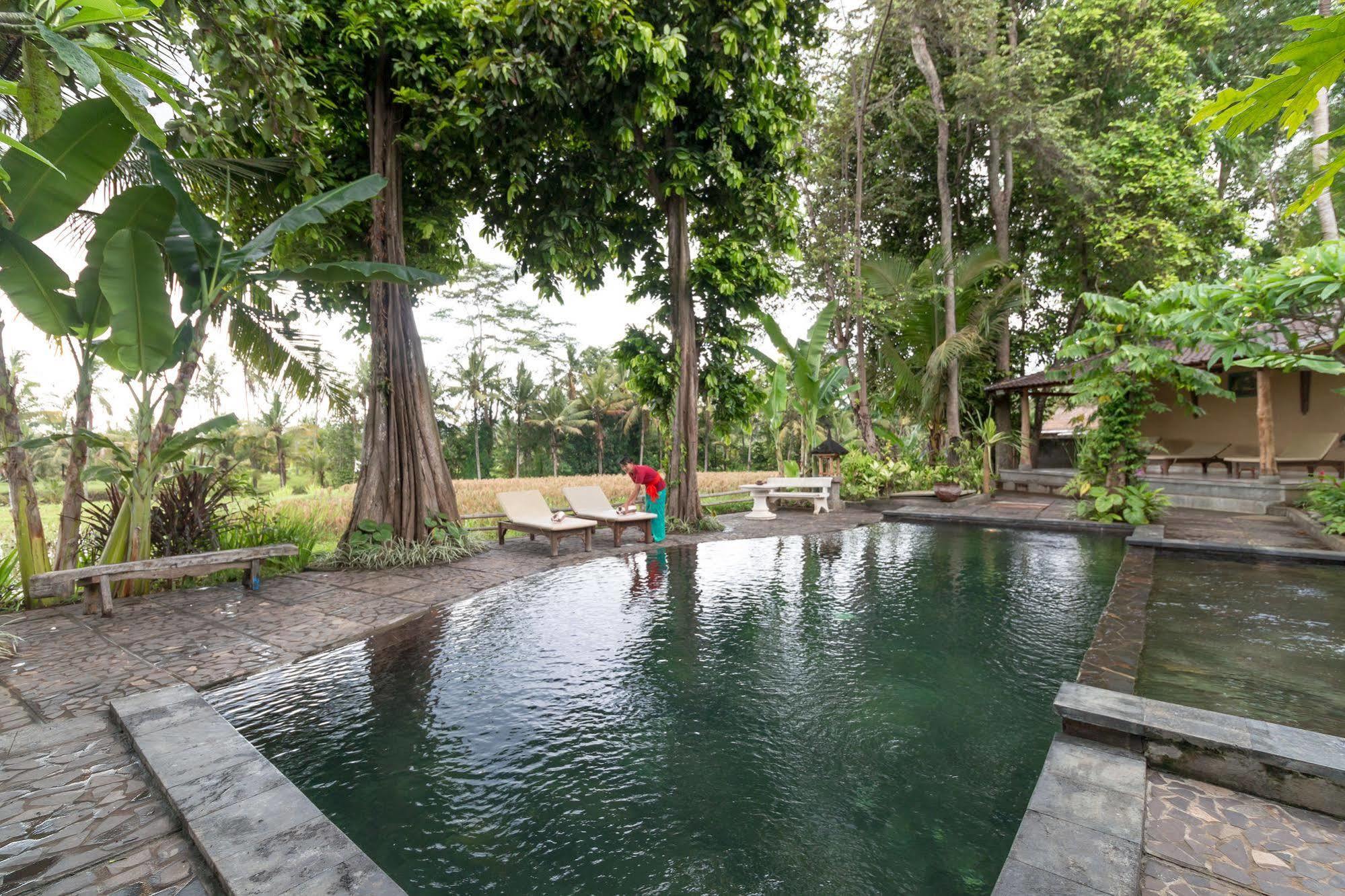 Umasari Rice Terrace Villa Табанан Екстер'єр фото